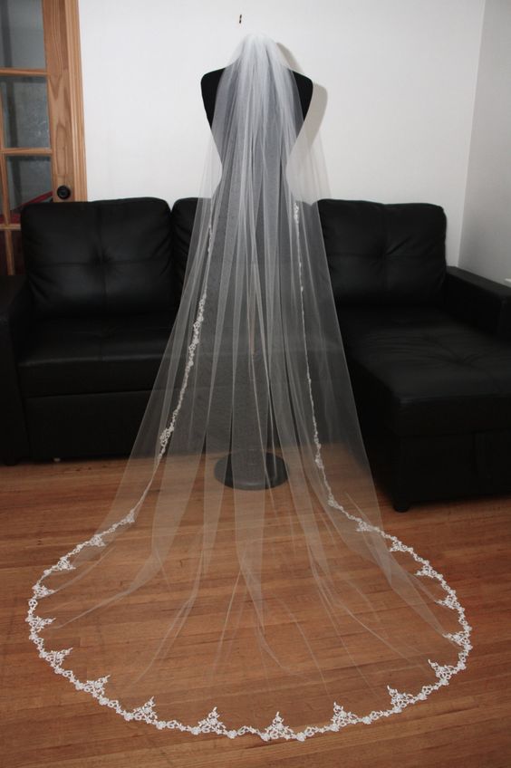 106 Inches Lace Edge Wedding Veils Cathedral Length Long Bridal Veil A –  Laurafashionshop