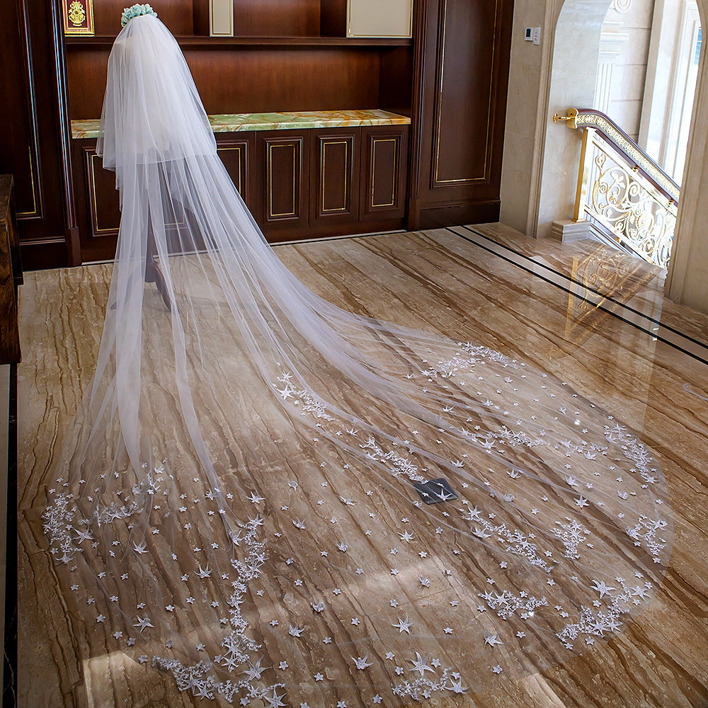 Lace Appliques Edge Ivory Wedding Veil Long Accessories Bridal Veils –  Laurafashionshop